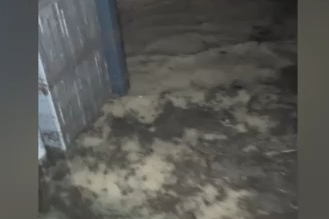 Sel sularında mahsur kalan anne kedi ve yavrularını esnaf kurtardı