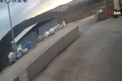 Bursa'da 500 bin liralık hırsızlığın faili yakalandı