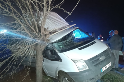 Kamyonet şarampolde ağaca çarptı: 1 yaralı