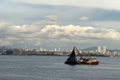 Av mevsiminin son günlerinde istavrit bolluğu