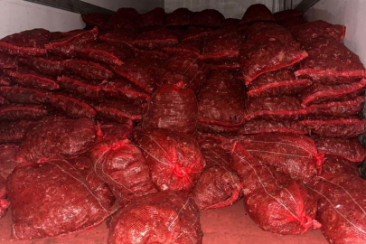 Bursa ve Balıkesir’de eş zamanlı operasyon: Tonlarca midye ele geçirildi