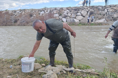 10 yıllık kuraklığın hakim olduğu çayda balık avladılar