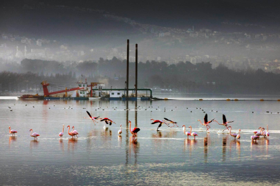 İzmit Körfezi'nden 1,8 milyon metreküp çamur çıkarıldı