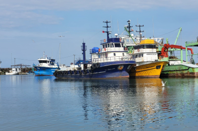 Balıkçılıkta genel av yasağı 15 Nisan'da başladı