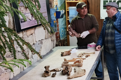 Kuşadası kıyılarında fırtına sonrası ortaya çıkan kemikler incelendi