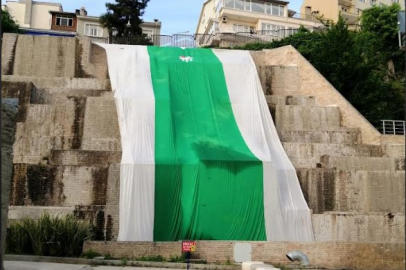 Nilüfer yeşil beyaz!