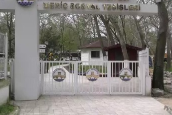 Robot garson hem işleri hızlandırıyor, hem eğlendiriyor