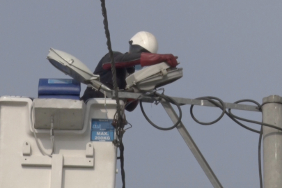 Sokak lambaları kuşlara yuva oldu