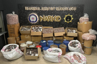 İstanbul'da uyuşturucu operasyonunda 2 gözaltı