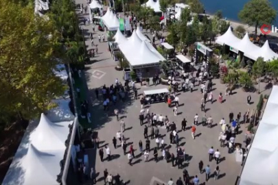 Kestel'de üreticiye 6 bin ahududu fidanı desteği