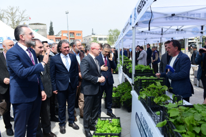 Tarım şehri Bursa Kestel’de Ahududu seferberliği