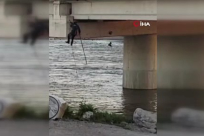 Asılı kalan güvercini halatla inip kurtardılar