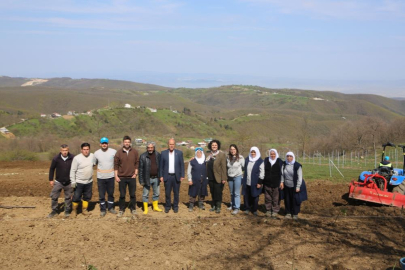 Nilüfer'de atıl araziler bereketleniyor