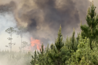 ABD'de orman yangınları: 54 ev ve 27 bin dönümlük alan küle döndü
