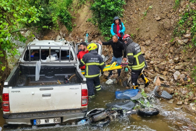 Kamyonet dere yatağına düştü: 2 yaralı