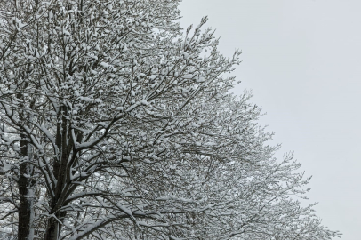 Uludağ'a Nisan sürprizi
