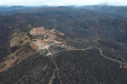 Bursa'da tarihin en büyük orman yangınında yaralar böyle sarıldı