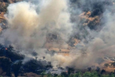 Japonya'da orman yangınında bin 176 hektarlık alan küle döndü