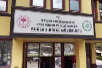 Bursa'da kaçak güme operasyonu