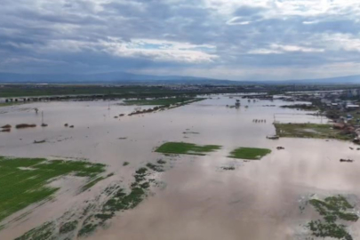 Bursa'da bol yağışlar çeltik ve ikinci ürün yasağını kaldırdı