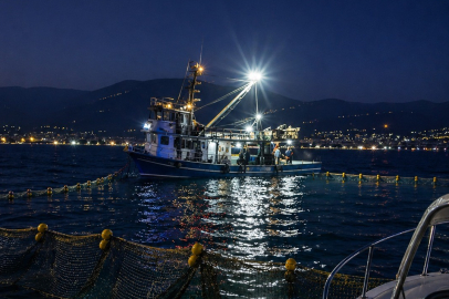 Gemlik Körfezi'nde sardalya avcılığı başladı