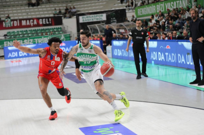 Timsah potada  bir adım önde