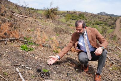 Başkan Işık’tan yeşil Gürsu çağrısı