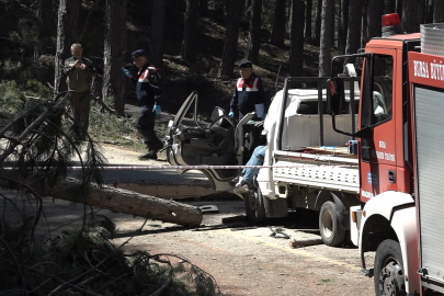 Uludağ’da feci olay: Kamyonetin üzerine ağaç devrildi