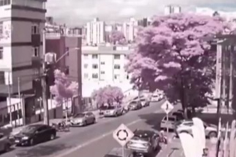 Brezilya'da uçağın apartmana çarptığı kazada bilanço ağırlaştı: 3 ölü