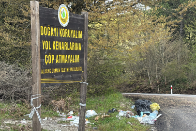 ‘Çöp atmayın' tabelasının altını çöple doldurdular
