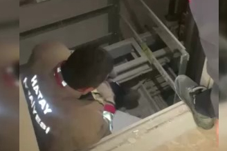 Asansör boşluğuna düşen yavru kediyi itfaiye kurtardı