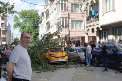 Bursa'da seyir halindeki araçların üzerine ağaç devrildi