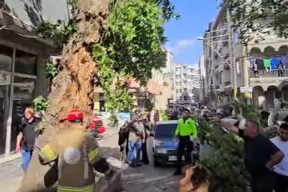 Devrilen ağacın altında kalan motosiklet sürücüsünün durumu ağır
