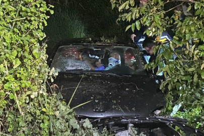 Bursa'da otomobil tarlaya uçtu: 4 yaralı