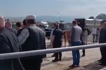Bursa'da kurban pazarında kavga: Jandarma havaya ateş açtı...