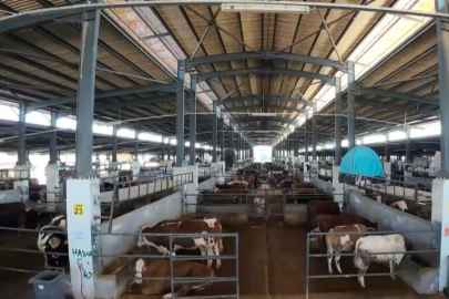 İnegöl Belediyesi Modern Hayvan Pazarı, yüzde 100'e ulaştı