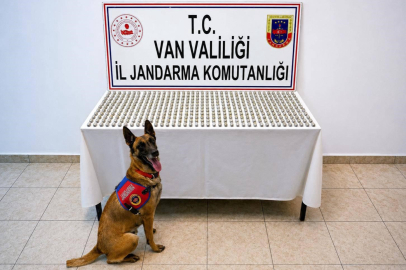 8 İranlı'nın midesinde 3 kilo esrar ele geçirildi