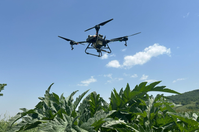 Kestel Belediyesinden çiftçiye drone desteği