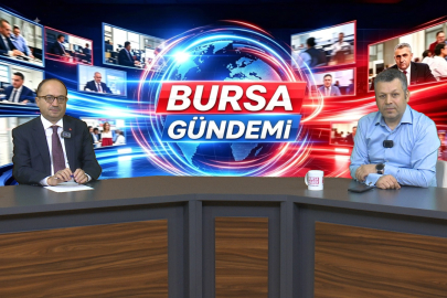 Mesten’den sokak hayvanları uyarısı: “Kanun var ama uygulanmıyor”