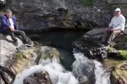  Bu çiçeklere dokunmanın cezası tam 700 bin lira