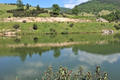 Bursa'da arkadaşlarıyla girdiği gölette can verdi