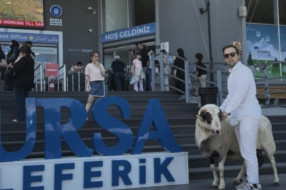 Bursa'da ilginç olay! Keseceği koçla teleferik keyfi yaptı