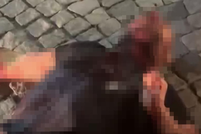 Korkunç olay! Husumetlisinin boğazını kesip kahvehanenin önüne attı