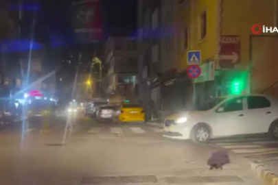 Sokak ortasında tekmeli sopalı kavga kamerada
