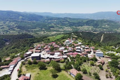 Bursa'da o köyde 'İmece' usulü sürüyor
