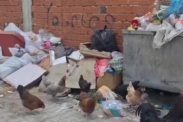 2 haftadır alınmayan çöpler tepki çekti