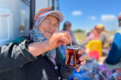 Tarlada yoruluyorlar odun ateşinde matarada çayla dinleniyorlar