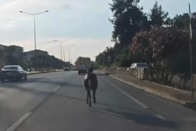 Bursa'da başıboş at ana yolda trafiği tehlikeye attı