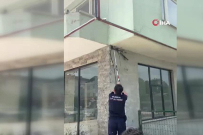 Bursa'da iş yerine giren yılan paniğe neden oldu