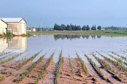 Bursa Yenişehir'de sel ve dolu felaketi
